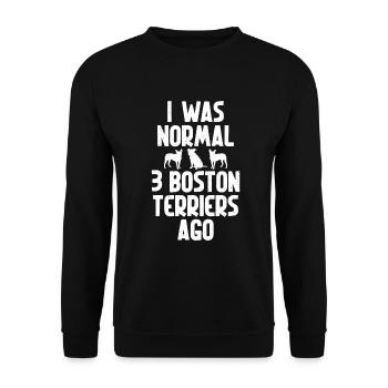 Boston Terrier Gifts - Unisex Pullover - Schwarz - Vorne - Alina (178cm) & Michal (187cm)