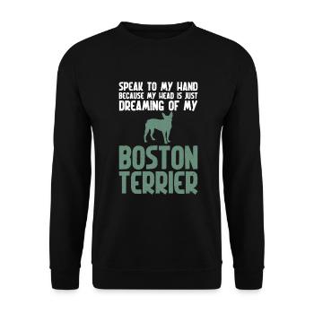 Boston Terrier Gifts - Unisex Pullover - Schwarz - Vorne - Alina (178cm) & Michal (187cm)