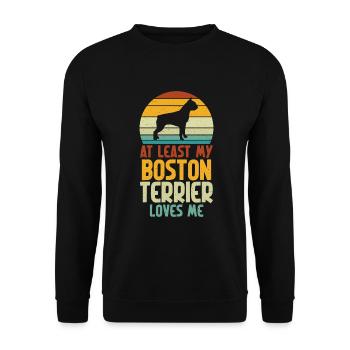 Boston Terrier Gifts - Unisex Pullover - Schwarz - Vorne - Alina (178cm) & Michal (187cm)