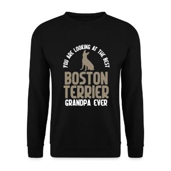Boston Terrier Gifts - Unisex Pullover - Schwarz - Vorne - Alina (178cm) & Michal (187cm)