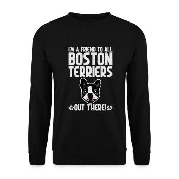 Boston Terrier Gifts - Unisex Pullover - Schwarz - Vorne - Alina (178cm) & Michal (187cm)