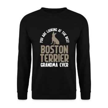 Boston Terrier Gifts - Unisex Pullover - Schwarz - Vorne - Alina (178cm) & Michal (187cm)