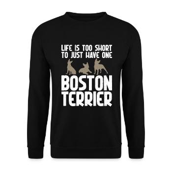 Boston Terrier Gifts - Unisex Pullover - Schwarz - Vorne - Alina (178cm) & Michal (187cm)