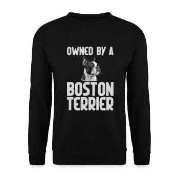 Boston Terrier Gifts - Unisex Pullover - Schwarz - Vorne - Alina (178cm) & Michal (187cm)