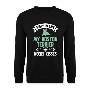 Boston Terrier Gifts - Unisex Pullover - Schwarz - Vorne - Alina (178cm) & Michal (187cm)