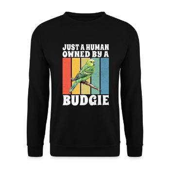 Budgie Gift - Unisex Pullover - Schwarz - Vorne - Alina (178cm) & Michal (187cm)