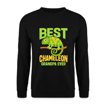 Chameleon Gifts - Unisex Pullover - Schwarz - Vorne - Alina (178cm) & Michal (187cm)
