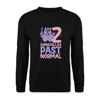Chinchilla Liebhaber Geschenk Geschenkidee - Unisex Pullover - Schwarz - Vorne - Alina (178cm) & Michal (187cm)