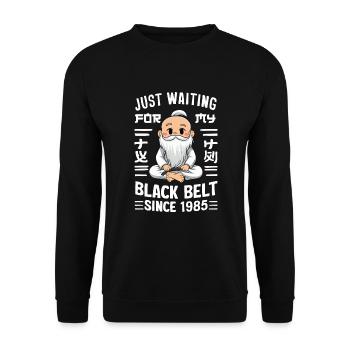 Kung Fu Chinesisches Kung Fu Asiatisches Kung Fu - Unisex Pullover - Schwarz - Vorne - Alina (178cm) & Michal (187cm)