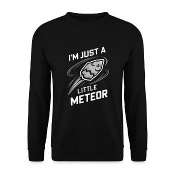 Stargazing And Meteor Shower Enthusiast - Unisex Pullover - Schwarz - Vorne - Alina (178cm) & Michal (187cm)