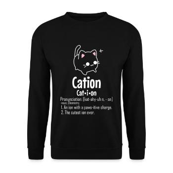 Kation Chemiker Physiker Lustig Geschenk Katze - Unisex Pullover - Schwarz - Vorne - Alina (178cm) & Michal (187cm)
