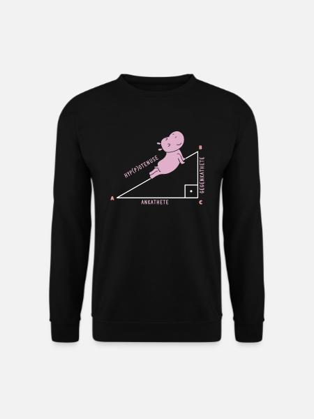 Mathelehrerin Matheformel Mathematiker Mathelehrer - Unisex Pullover - Schwarz