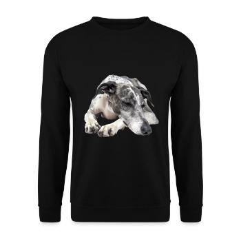 Greyhound - Unisex Pullover - Schwarz - Vorne - Alina (178cm) & Michal (187cm)