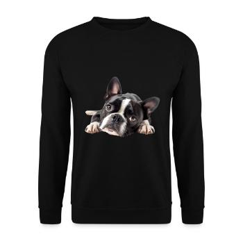Boston Terrier - Unisex Pullover - Schwarz - Vorne - Alina (178cm) & Michal (187cm)