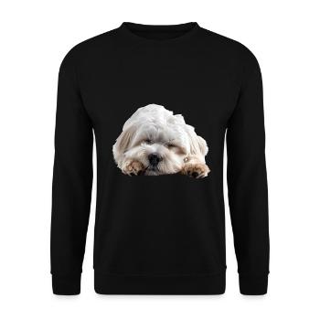 Coton de tuléar - Sweat-shirt Unisexe - noir - Devant - Alina (178cm) & Michal (187cm)