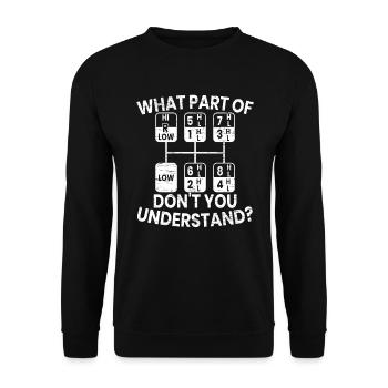 Was teils von Don't You Understand Truck Driver - Unisex Pullover - Schwarz - Vorne - Alina (178cm) & Michal (187cm)