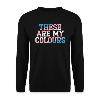 Das sind meine Farben LGBTQ Transgender Rechte - Unisex Pullover - Schwarz - Vorne - Alina (178cm) & Michal (187cm)
