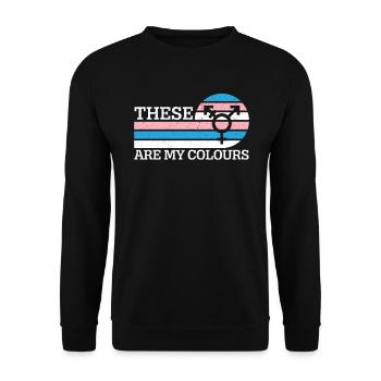 Das sind meine Farben LGBTQ Transgender Rechte - Unisex Pullover - Schwarz - Vorne - Alina (178cm) & Michal (187cm)