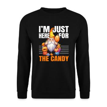 Garden Gnome Halloween Trick Or Treat Gardener - Unisex Sweatshirt - black - Front - Alina (178cm) & Michal (187cm)