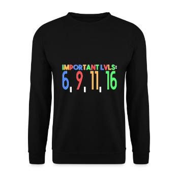 wichtige Levels: 6, 9, 11, 16 - Unisex Pullover - Schwarz - Vorne - Alina (178cm) & Michal (187cm)