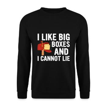 Briefkasten Postbote Spruch Postzusteller - Unisex Pullover - Schwarz - Vorne - Alina (178cm) & Michal (187cm)