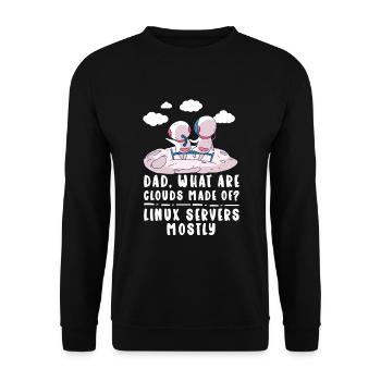 Cloud Computing Informatik Programmierung Dev - Unisex Pullover - Schwarz - Vorne - Alina (178cm) & Michal (187cm)
