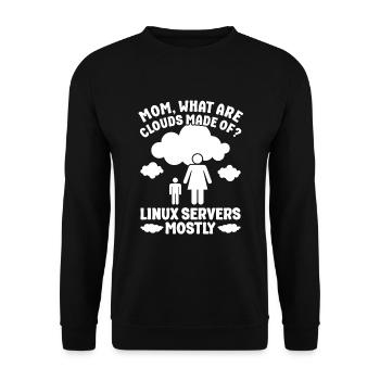 Cloud Computing Informatik Programmierung Dev - Unisex Pullover - Schwarz - Vorne - Alina (178cm) & Michal (187cm)
