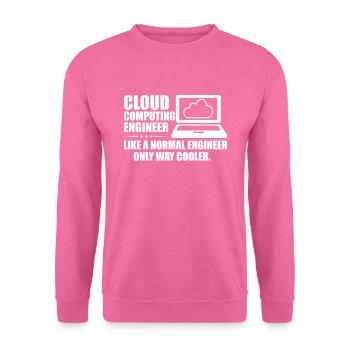 Cloud Computing Engineer Definition Retro Computer - Unisex Pullover - Pink - Vorne