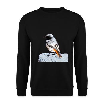 Hausrotschwanz - Unisex Pullover - Schwarz - Vorne - Alina (178cm) & Michal (187cm)