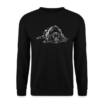KLEINER MÜNSTERLÄNDER Jagd Wilsigns Munsterlander - Unisex Pullover - Schwarz - Vorne - Alina (178cm) & Michal (187cm)