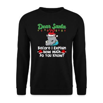 Cher Père Noël avant que j’explique combien savez-vous - Sweat-shirt Unisexe - noir - Devant - Alina (178cm) & Michal (187cm)