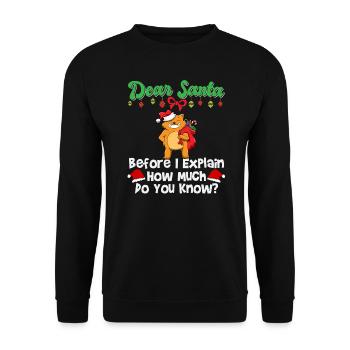 Cher Père Noël avant que j’explique combien savez-vous - Sweat-shirt Unisexe - noir - Devant - Alina (178cm) & Michal (187cm)