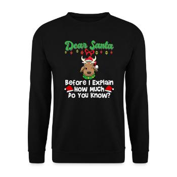 Cher Père Noël avant que j’explique combien savez-vous - Sweat-shirt Unisexe - noir - Devant - Alina (178cm) & Michal (187cm)