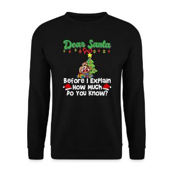 Cher Père Noël avant que j’explique combien savez-vous - Sweat-shirt Unisexe - noir - Devant - Alina (178cm) & Michal (187cm)