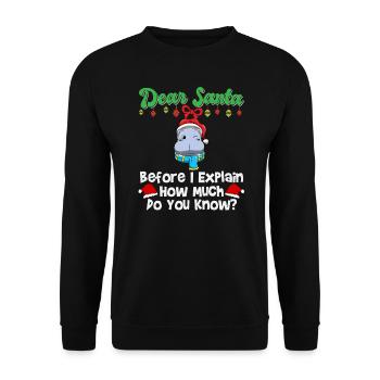 Cher Père Noël avant que j’explique combien savez-vous - Sweat-shirt Unisexe - noir - Devant - Alina (178cm) & Michal (187cm)