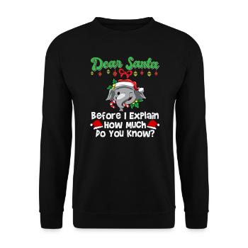 Cher Père Noël avant que j’explique combien savez-vous - Sweat-shirt Unisexe - noir - Devant - Alina (178cm) & Michal (187cm)