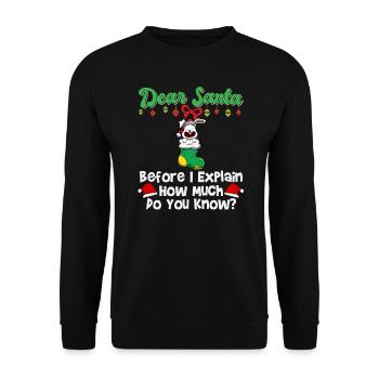 Cher Père Noël avant que j’explique combien savez-vous - Sweat-shirt Unisexe - noir - Devant - Alina (178cm) & Michal (187cm)