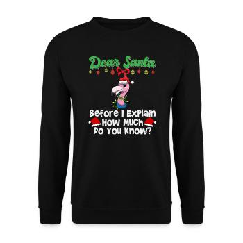 Cher Père Noël avant que j’explique combien savez-vous - Sweat-shirt Unisexe - noir - Devant - Alina (178cm) & Michal (187cm)