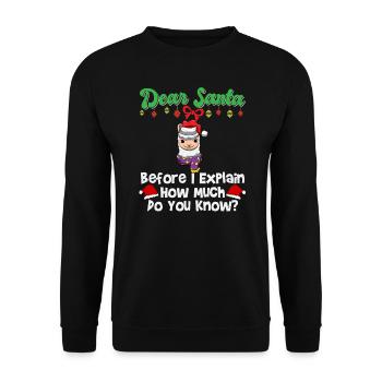 Cher Père Noël avant que j’explique combien savez-vous - Sweat-shirt Unisexe - noir - Devant - Alina (178cm) & Michal (187cm)