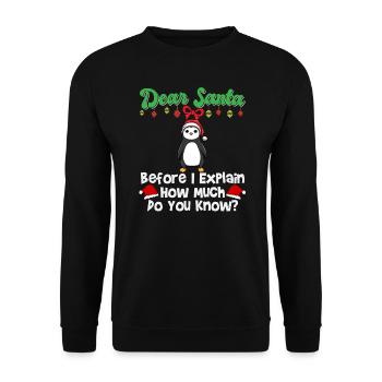 Cher Père Noël avant que j’explique combien savez-vous - Sweat-shirt Unisexe - noir - Devant - Alina (178cm) & Michal (187cm)