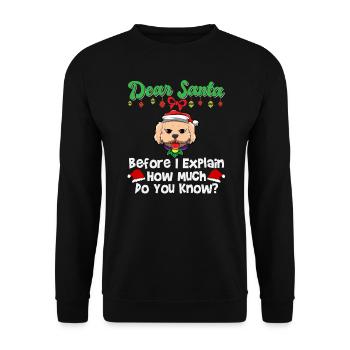 Cher Père Noël avant que j’explique combien savez-vous - Sweat-shirt Unisexe - noir - Devant - Alina (178cm) & Michal (187cm)