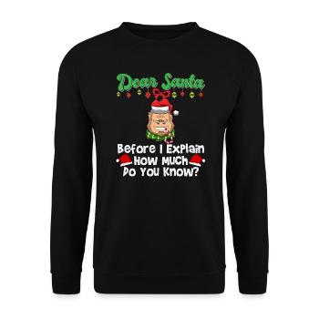 Cher Père Noël avant que j’explique combien savez-vous - Sweat-shirt Unisexe - noir - Devant - Alina (178cm) & Michal (187cm)