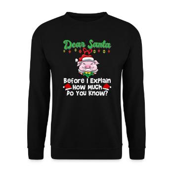 Cher Père Noël avant que j’explique combien savez-vous - Sweat-shirt Unisexe - noir - Devant - Alina (178cm) & Michal (187cm)