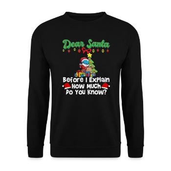 Cher Père Noël avant que j’explique combien savez-vous - Sweat-shirt Unisexe - noir - Devant - Alina (178cm) & Michal (187cm)