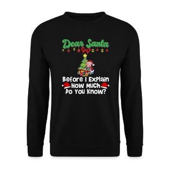 Cher Père Noël avant que j’explique combien savez-vous - Sweat-shirt Unisexe - noir - Devant - Alina (178cm) & Michal (187cm)
