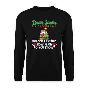 Cher Père Noël avant que j’explique combien savez-vous - Sweat-shirt Unisexe - noir - Devant - Alina (178cm) & Michal (187cm)