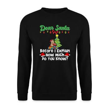 Cher Père Noël avant que j’explique combien savez-vous - Sweat-shirt Unisexe - noir - Devant - Alina (178cm) & Michal (187cm)