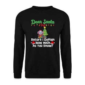 Cher Père Noël avant que j’explique combien savez-vous - Sweat-shirt Unisexe - noir - Devant - Alina (178cm) & Michal (187cm)