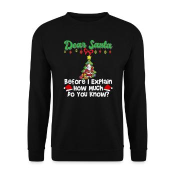 Cher Père Noël avant que j’explique combien savez-vous - Sweat-shirt Unisexe - noir - Devant - Alina (178cm) & Michal (187cm)