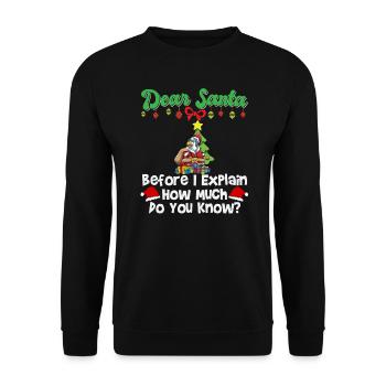 Cher Père Noël avant que j’explique combien savez-vous - Sweat-shirt Unisexe - noir - Devant - Alina (178cm) & Michal (187cm)